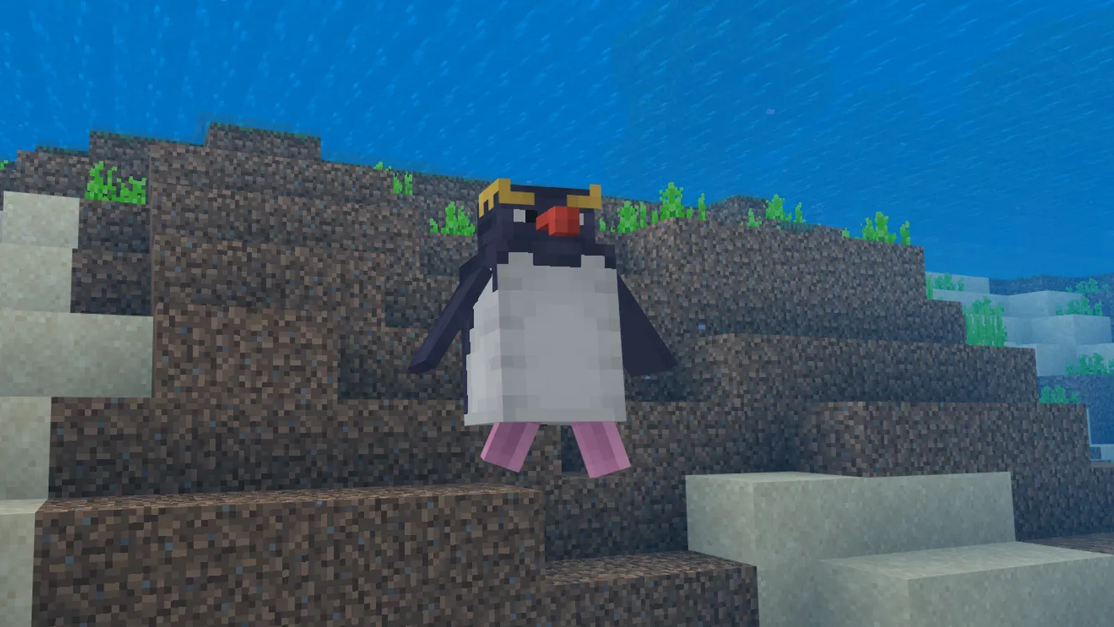 0148-4.png