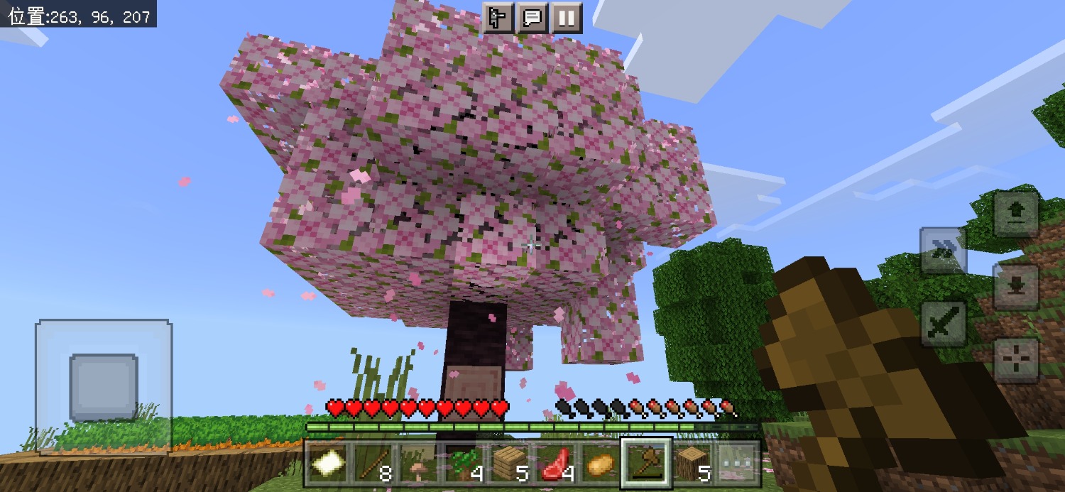 Screenshot_20231119_102432_com.mojang.minecraftpe.jpg