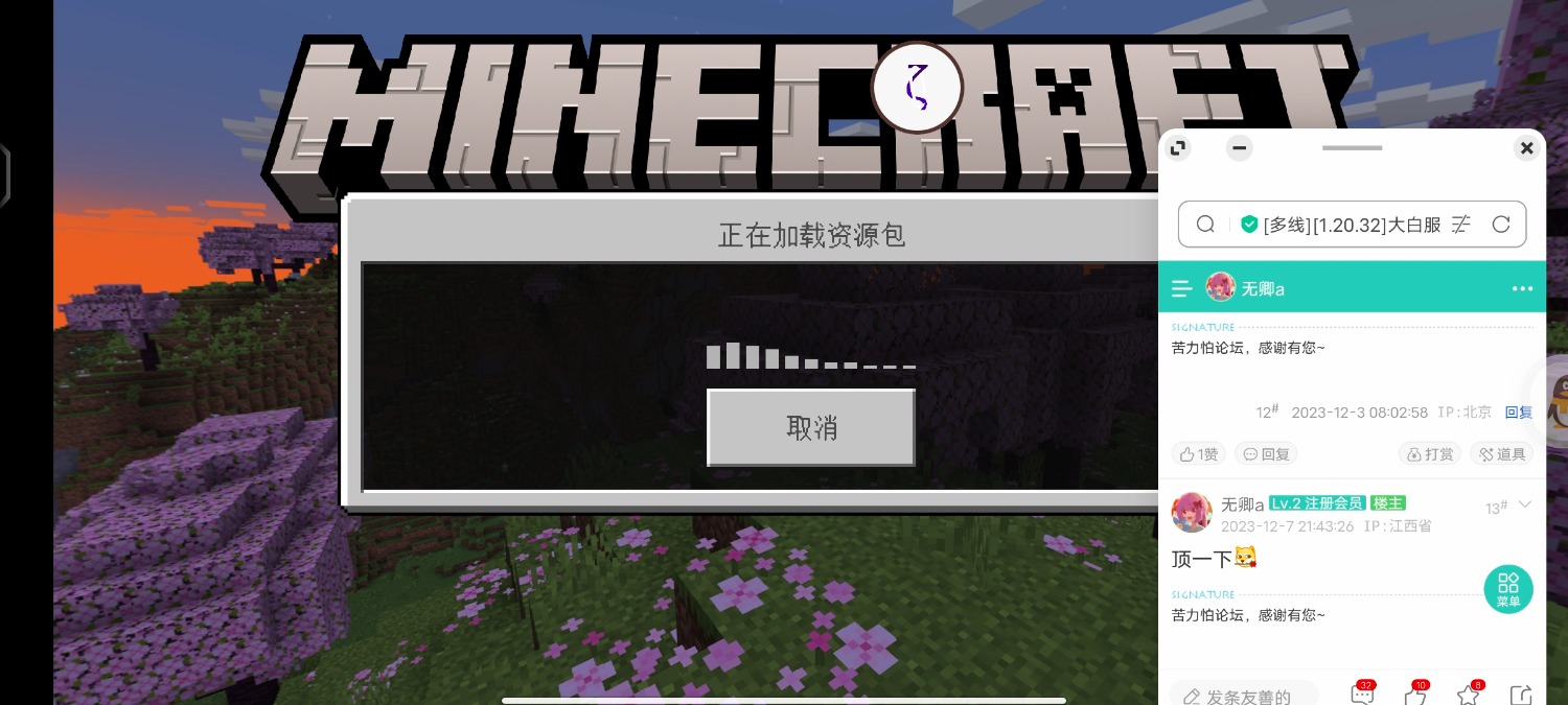 Screenshot_20240110_052738_io.mrarm.mctoolbox.jpg
