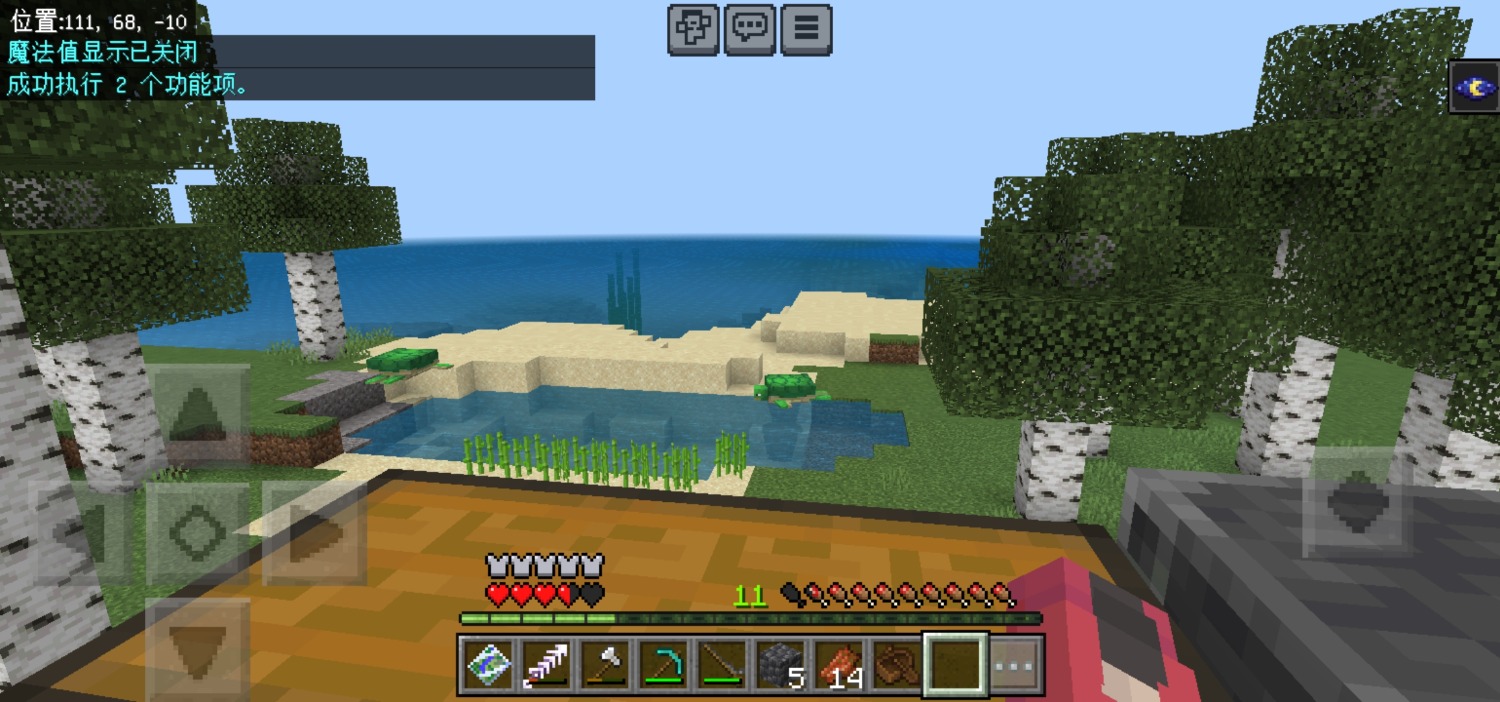 Screenshot_20240128_003339_com.mojang.minecraftpe.jpg
