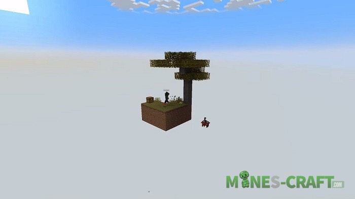 Skyblock-2024-Map-2.jpg