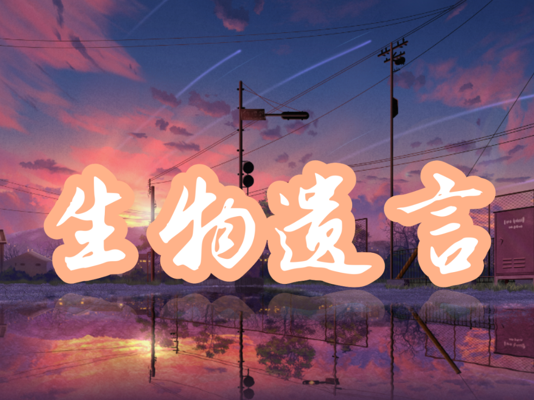 1709823981628.png