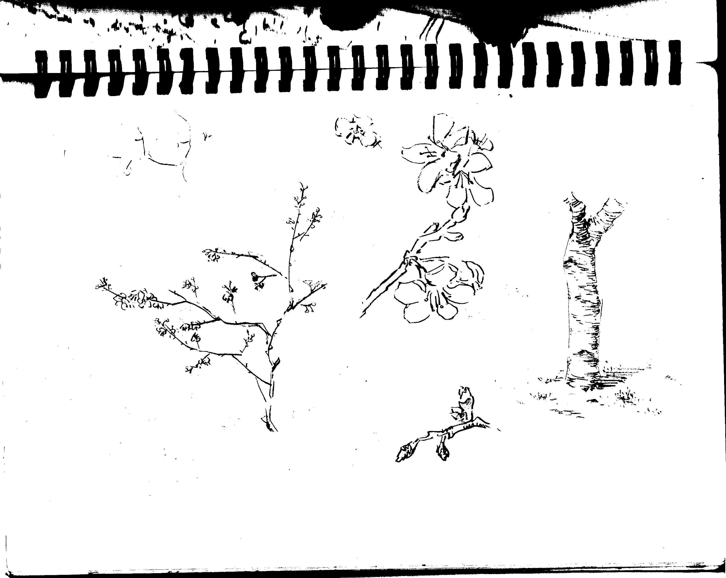 Image_20240312_0008.jpg