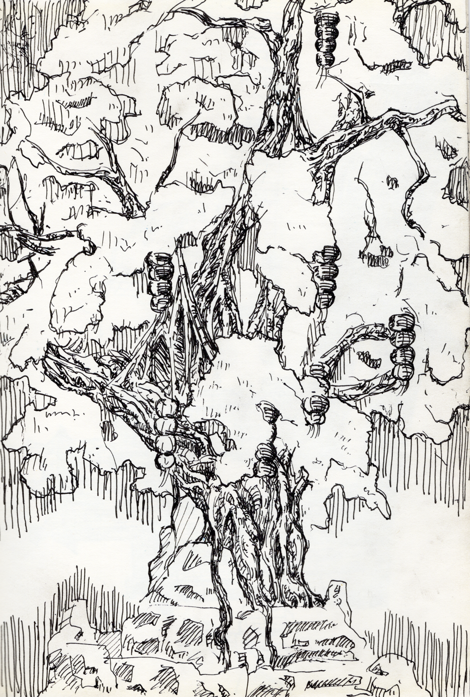 Image_20240321_0006.png