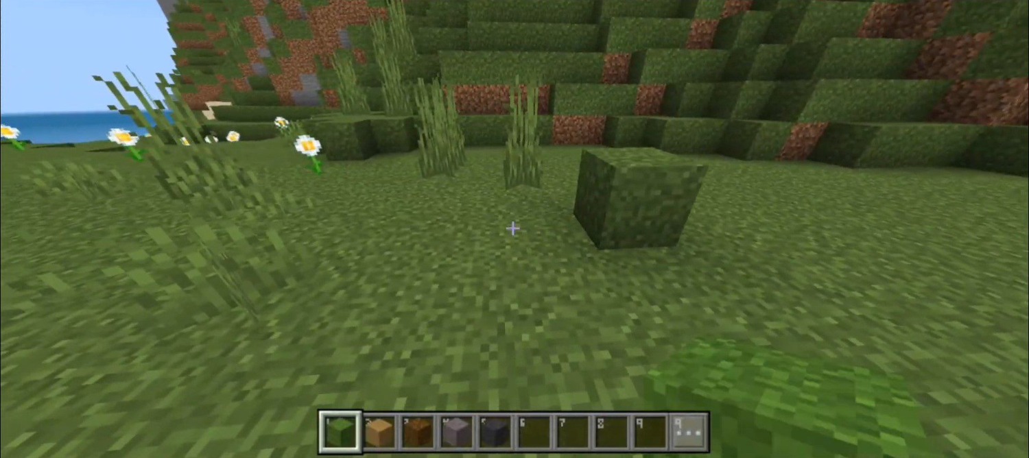 Full-Grass-Texture-Pack-MCPE-7.jpg