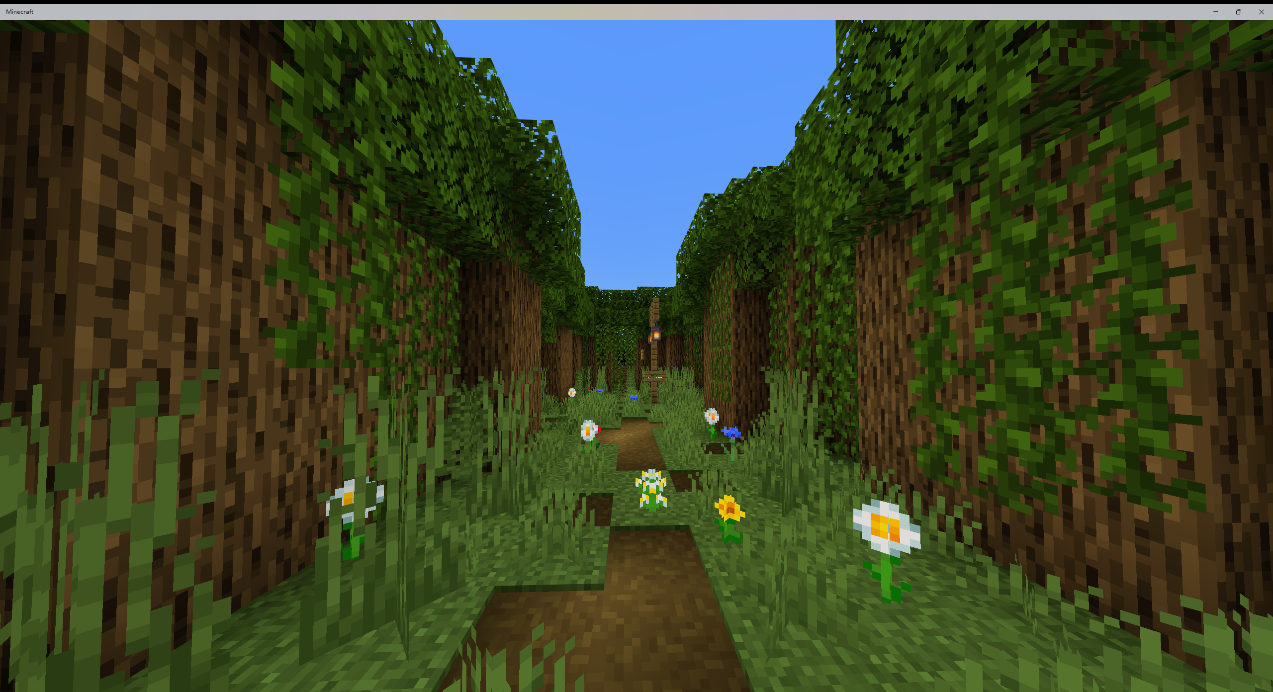 Minecraft 2024_5_3 4_50_50.png