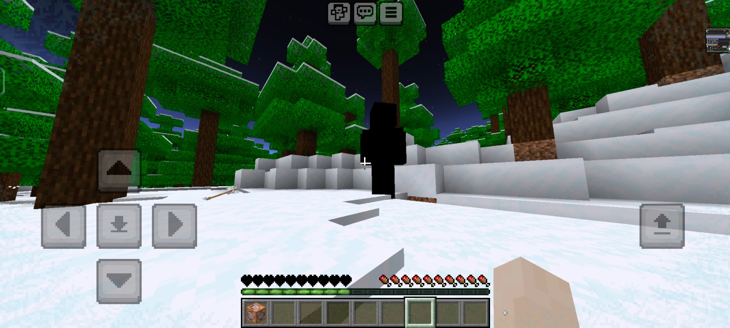 Screenshot_20240504_132928_com.mojang.minecraftpe.jpg