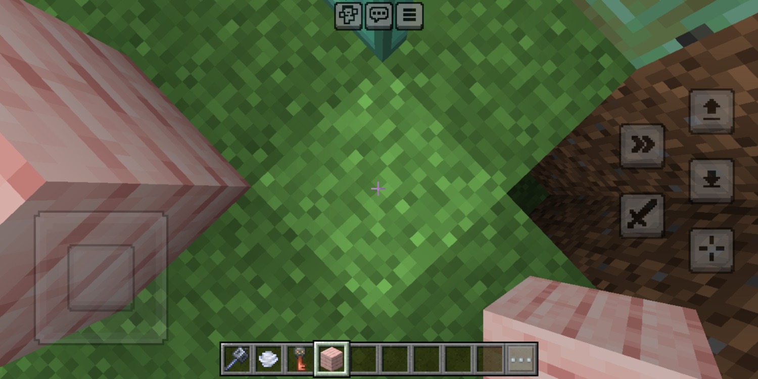 Screenshot_20240511_183103_com.mojang.minecraftpe.jpg