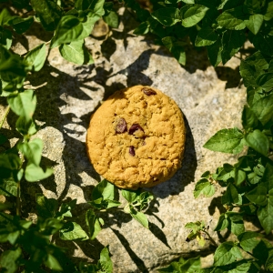 cookie.jpg