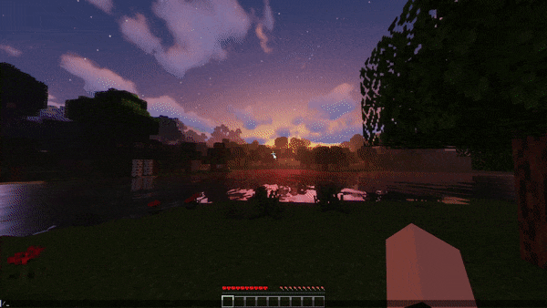 IMG_2851.gif