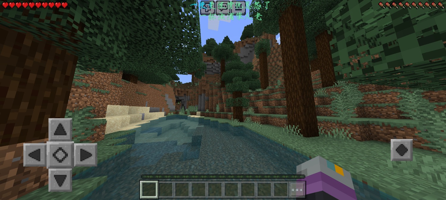 Screenshot_2024-07-01-20-03-12-957_com.mojang.minecraftpe.jpg