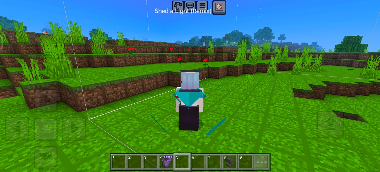 Screenshot_20240725_131611_com.mojang.minecraftpfs.jpg