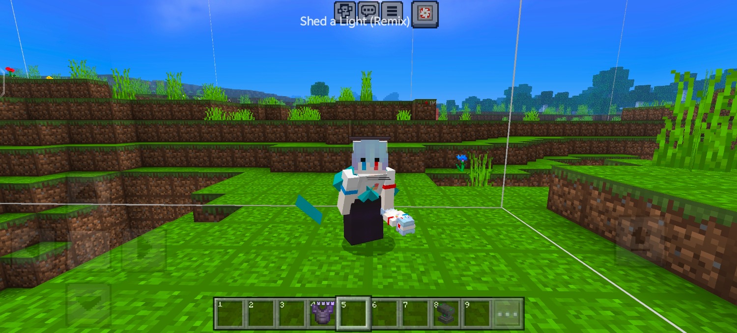 Screenshot_20240725_131634_com.mojang.minecraftpfs.jpg