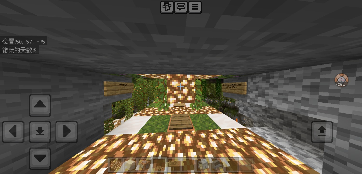 Screenshot_20240729_220240_com.mojang.minecraftpe.jpg