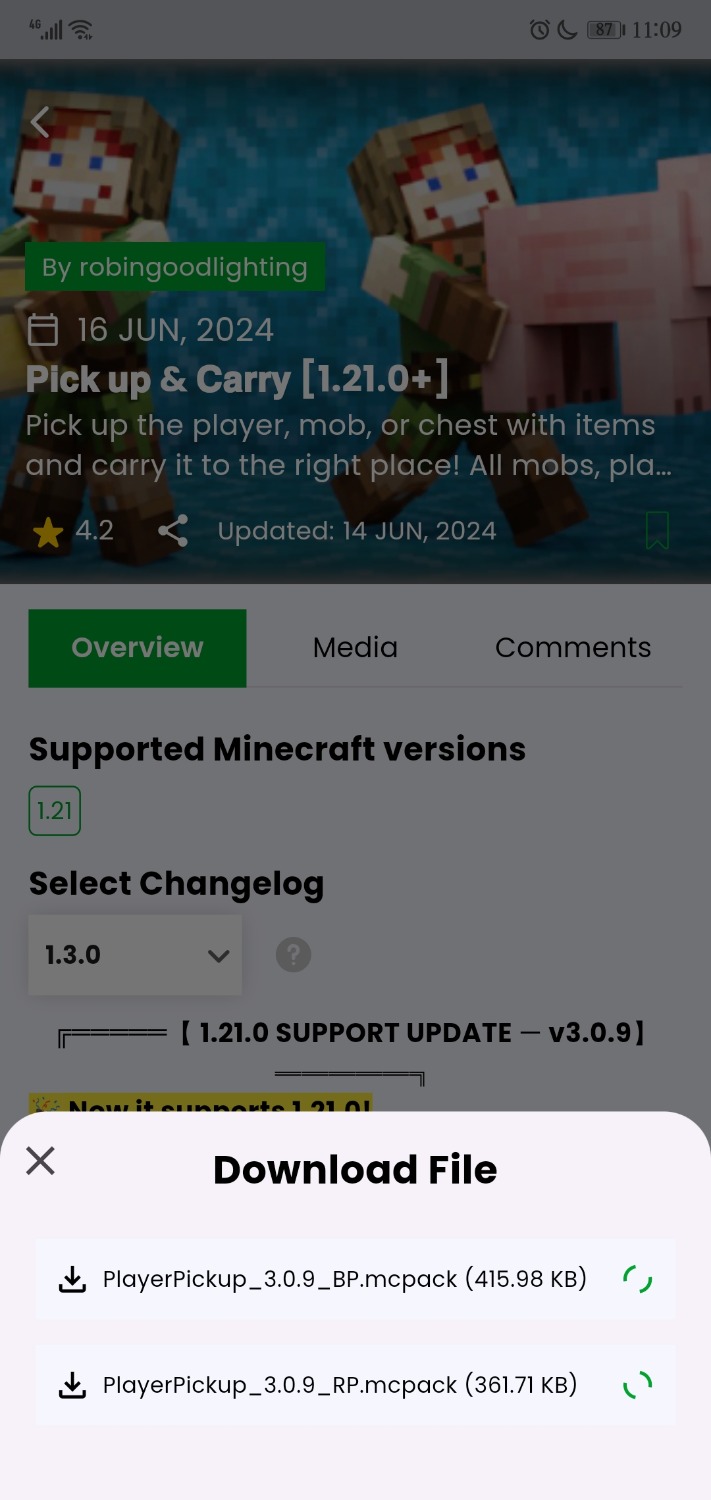 Screenshot_20240731_110908_com.overwolf.mcpedl.jpg