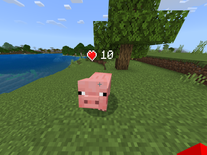 health-display-mode-for-entities-and-players_2.png