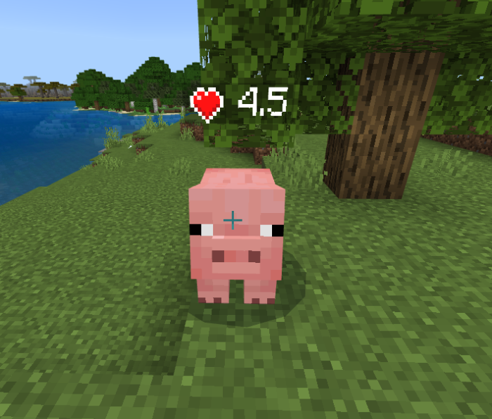 health-display-mode-for-entities-and-players_4.png