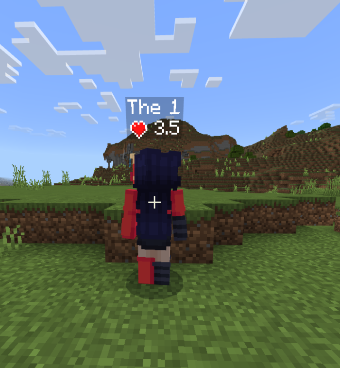health-display-mode-for-entities-and-players_5.png