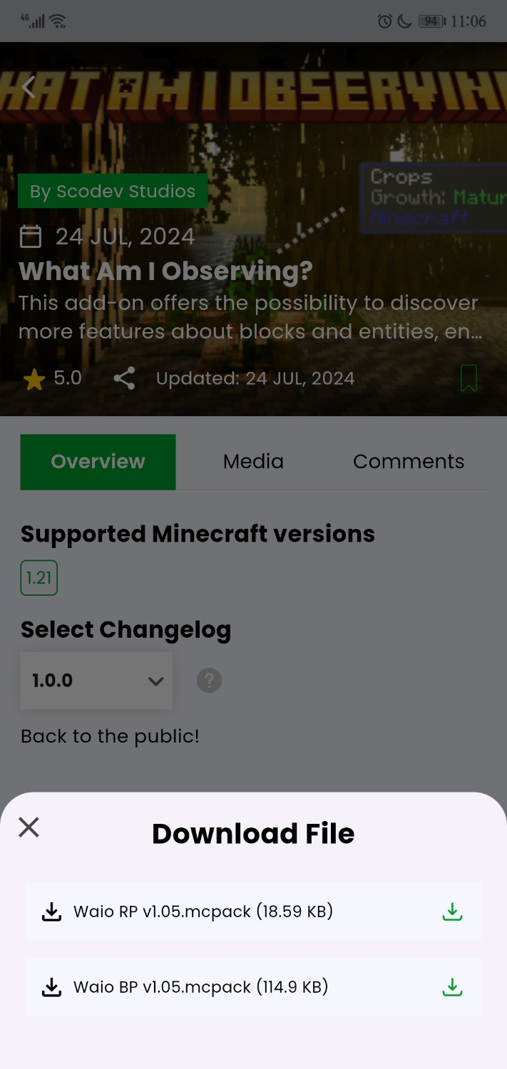 Screenshot_20240808_110649_com.overwolf.mcpedl.jpg