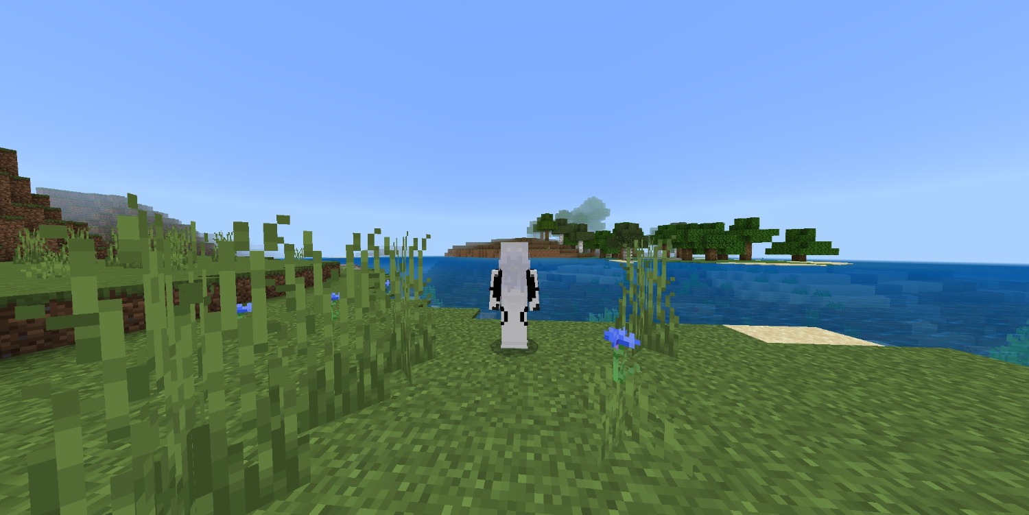 Screenshot_2024-08-12-13-18-58-341_com.mojang.minecraftpe.jpg