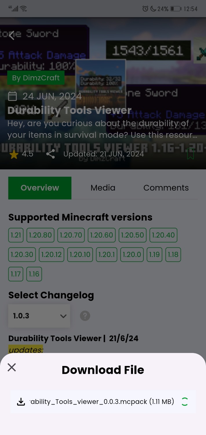 Screenshot_20240828_125453_com.overwolf.mcpedl.jpg