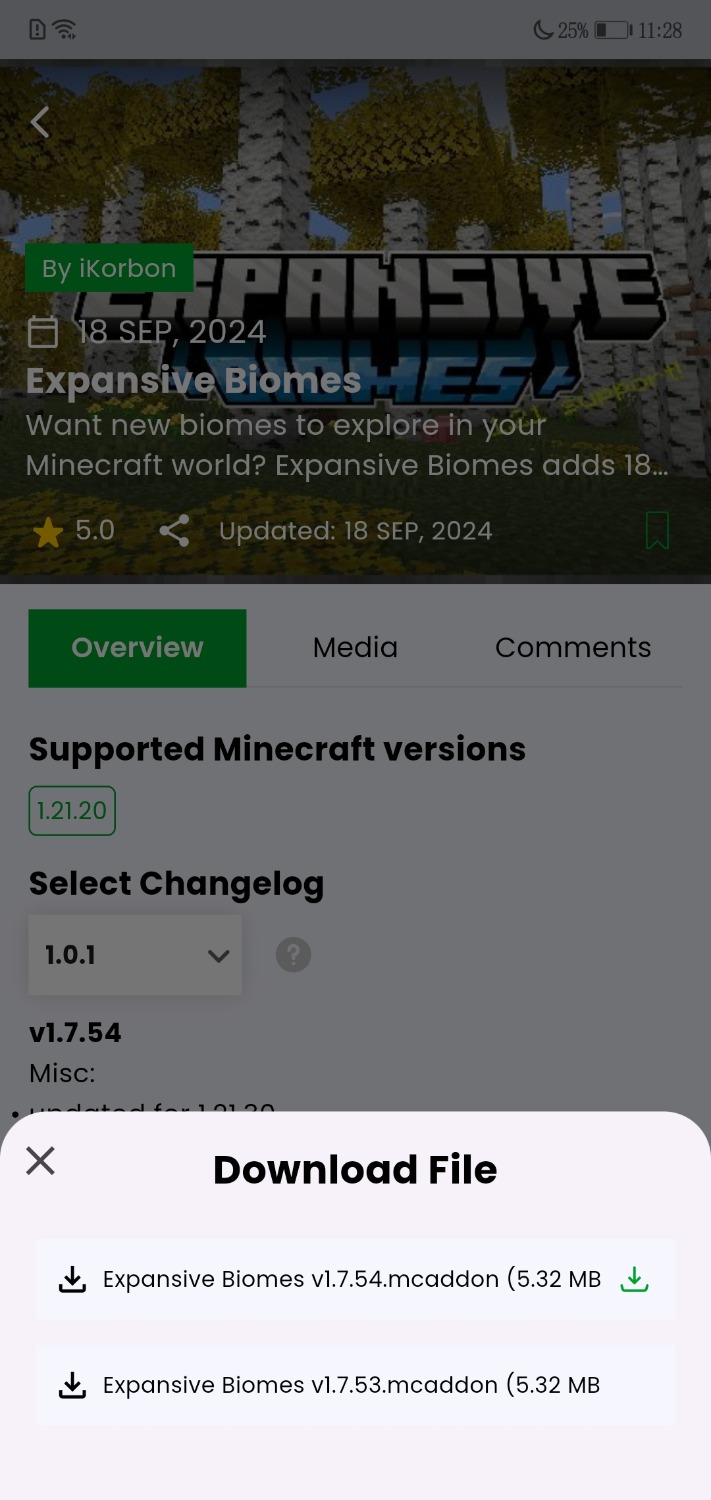 Screenshot_20240919_232836_com.overwolf.mcpedl.jpg