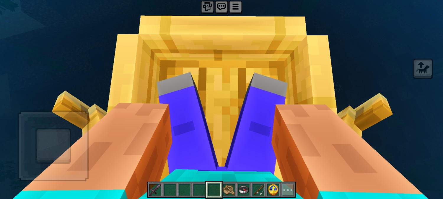 1000177073.jpg