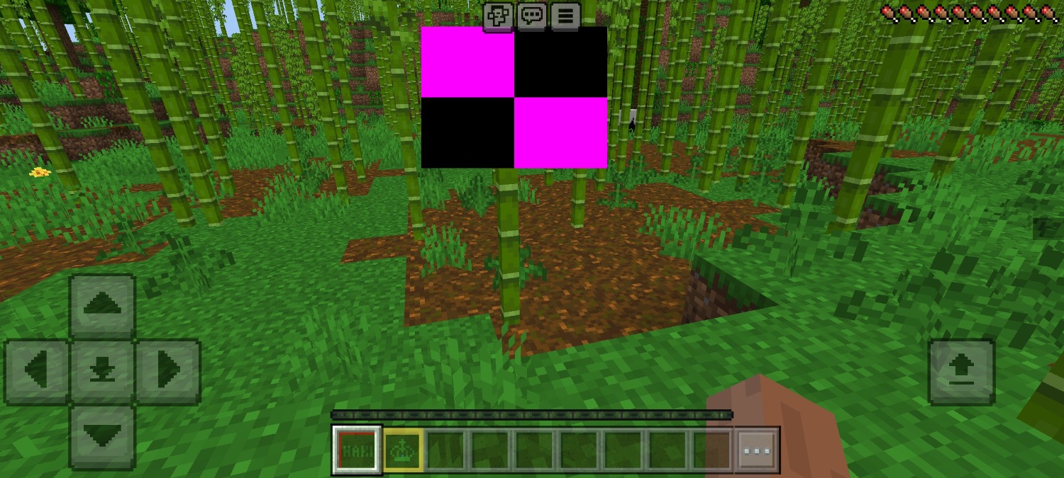 Screenshot_2024-11-16-11-26-47-463_com.mojang.minecraftpe.jpg