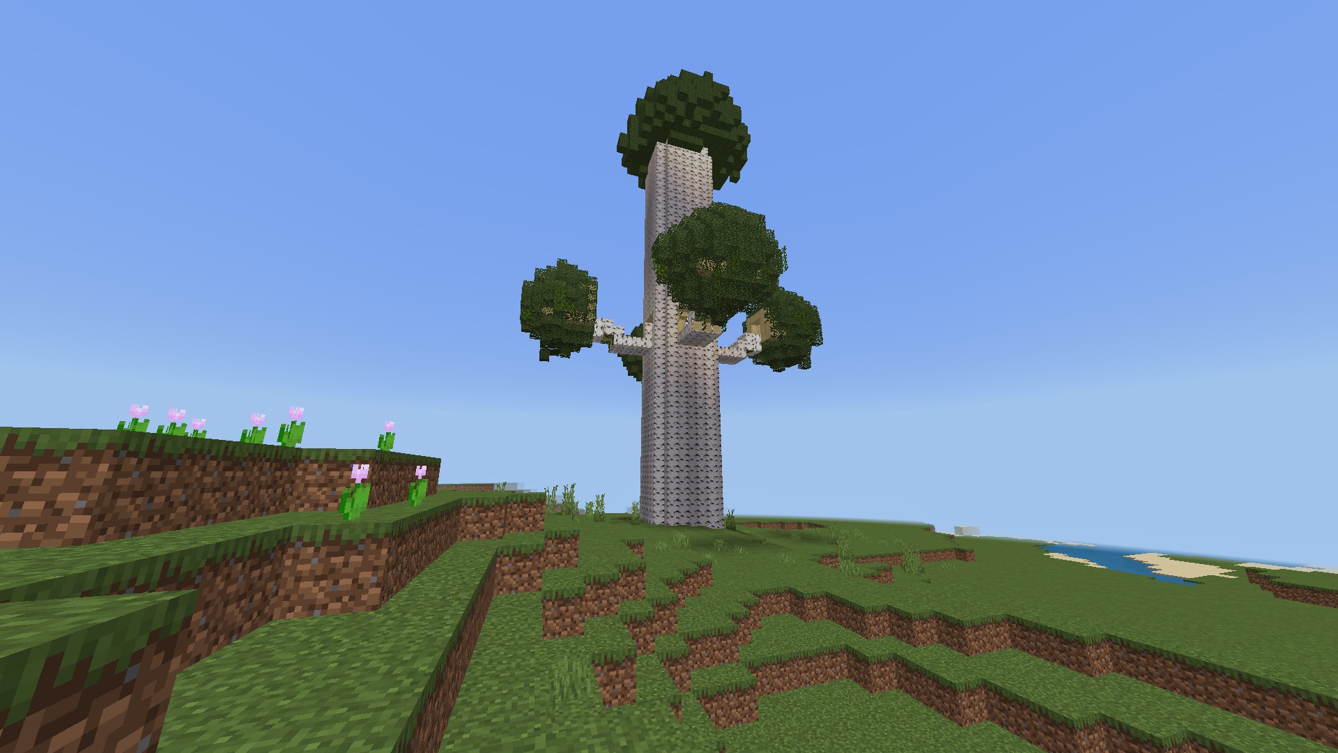 treeHouse.jpg