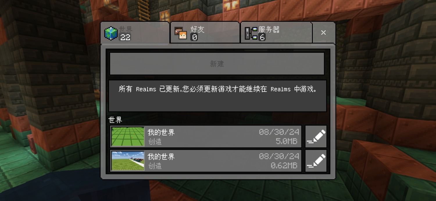 Screenshot_20240830_181607_com.mojang.minecraftpe.patch.jpg