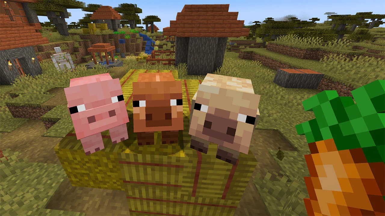 MCV_SpringDrop_testing_Jan8_Pig variants_4c_1280x720_1.jpg