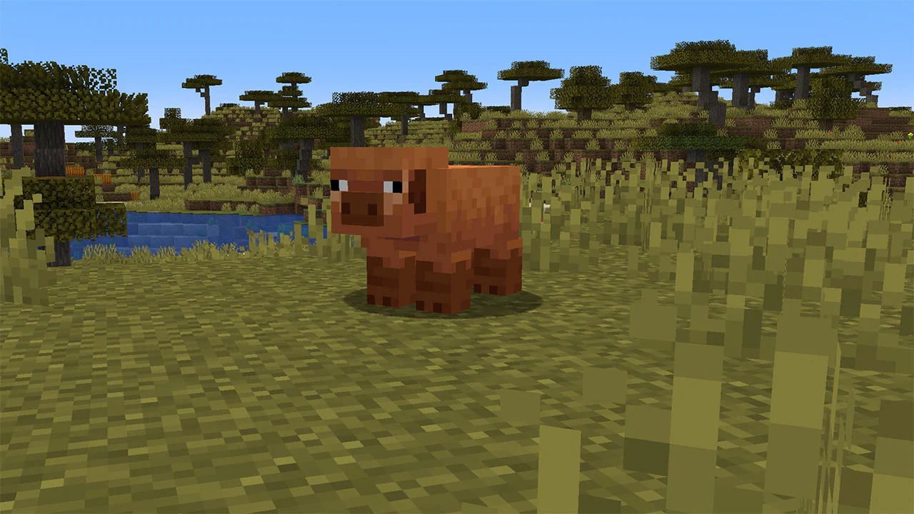 MCV_SpringDrop_testing_Jan8_Pig variants_4b_1280x720_1.jpg