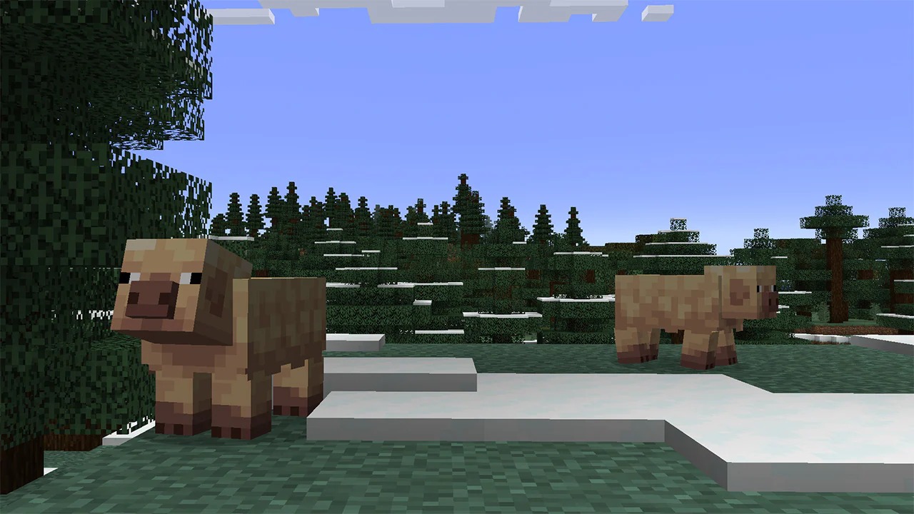 MCV_SpringDrop_testing_Jan8_Pig variants_4a_1280x720_1.jpg