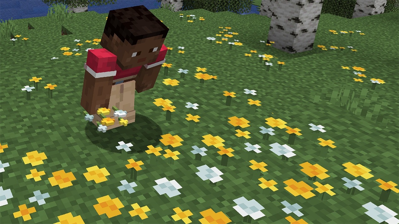 MCV_SpringDrop_testing_Jan8_Wildflowers_8a_1280x720.jpg