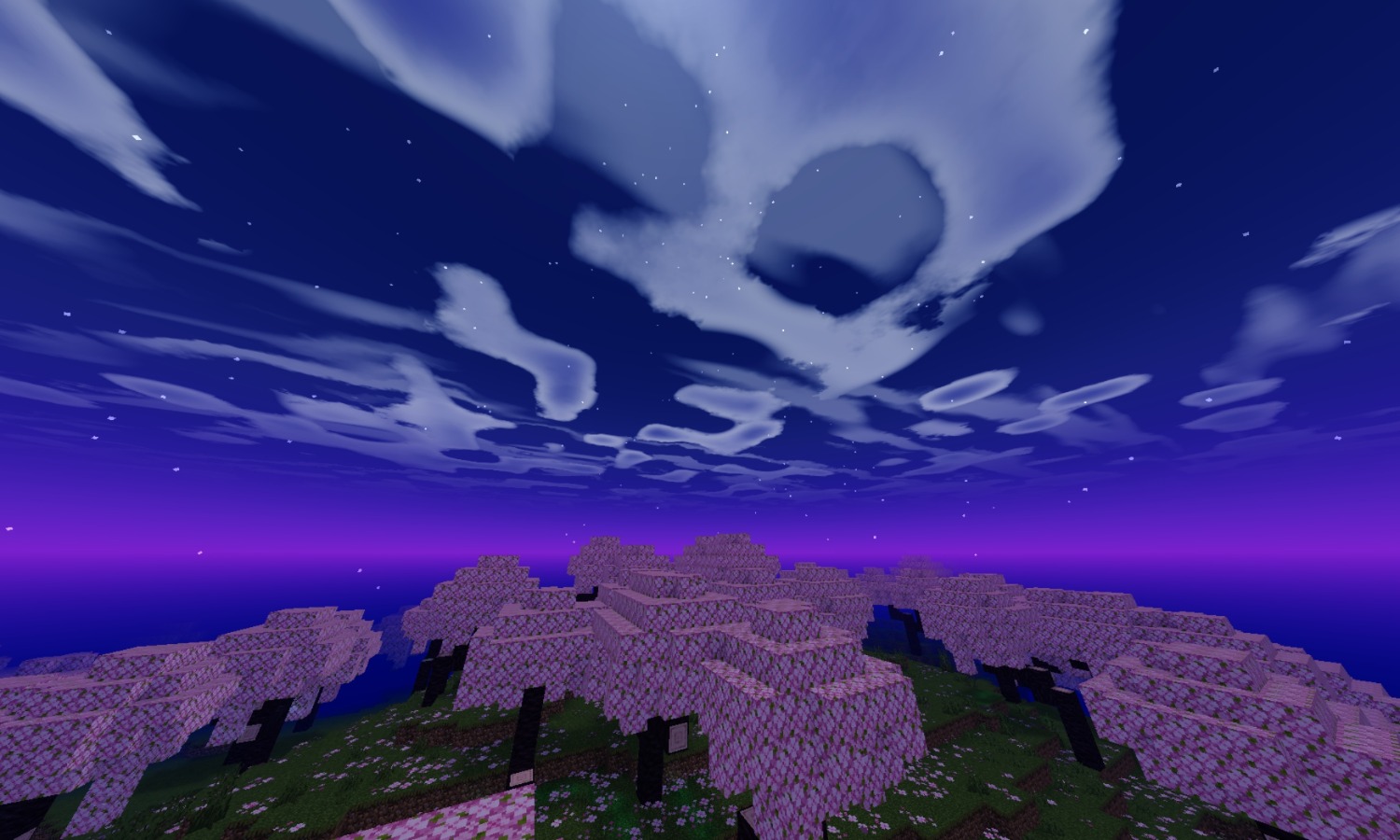 Screenshot_20250202_100633_com.mojang.minecraftpe.patxx.jpg