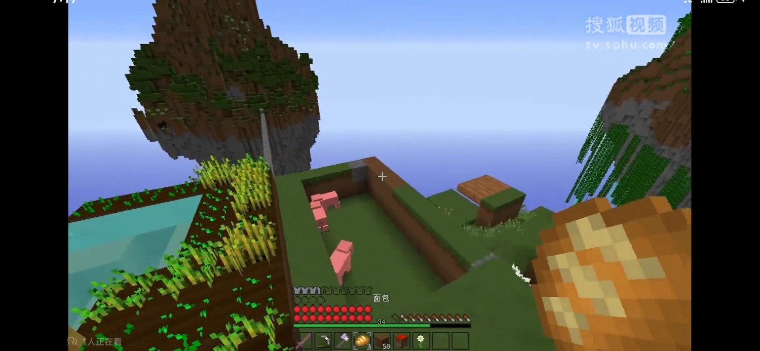 Screenshot_20250209_071717_tv.danmaku.bili.jpg
