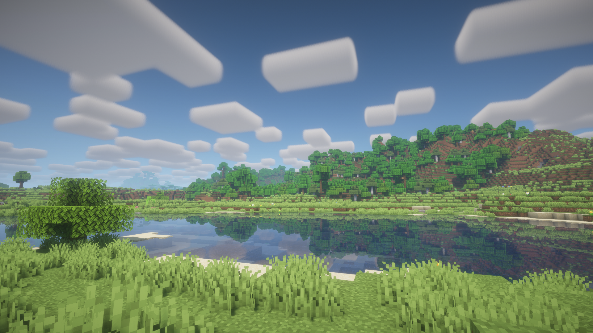 IMG_0114.png