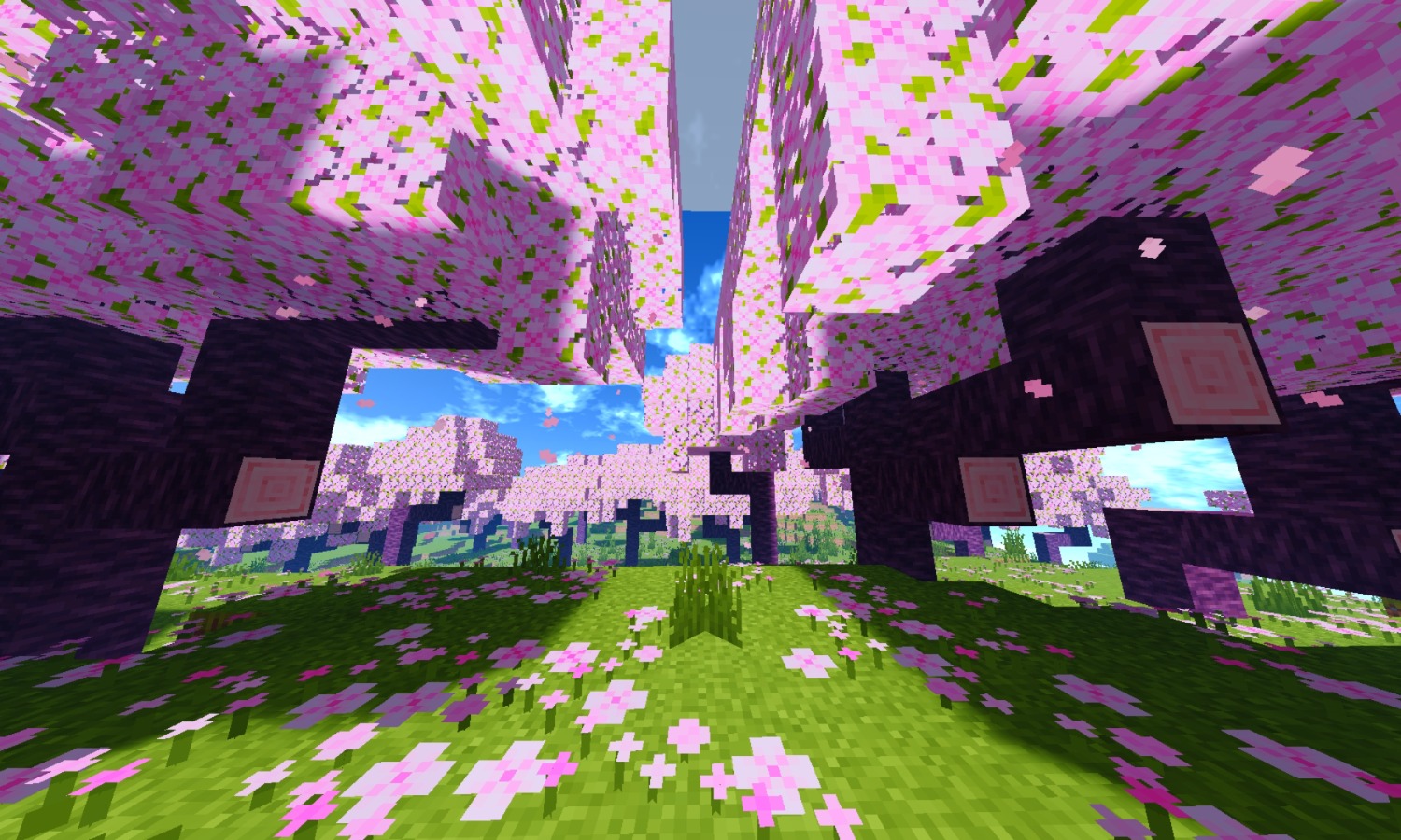 Screenshot_20250212_175128_com.mojang.minecraftpe.patxx.jpg