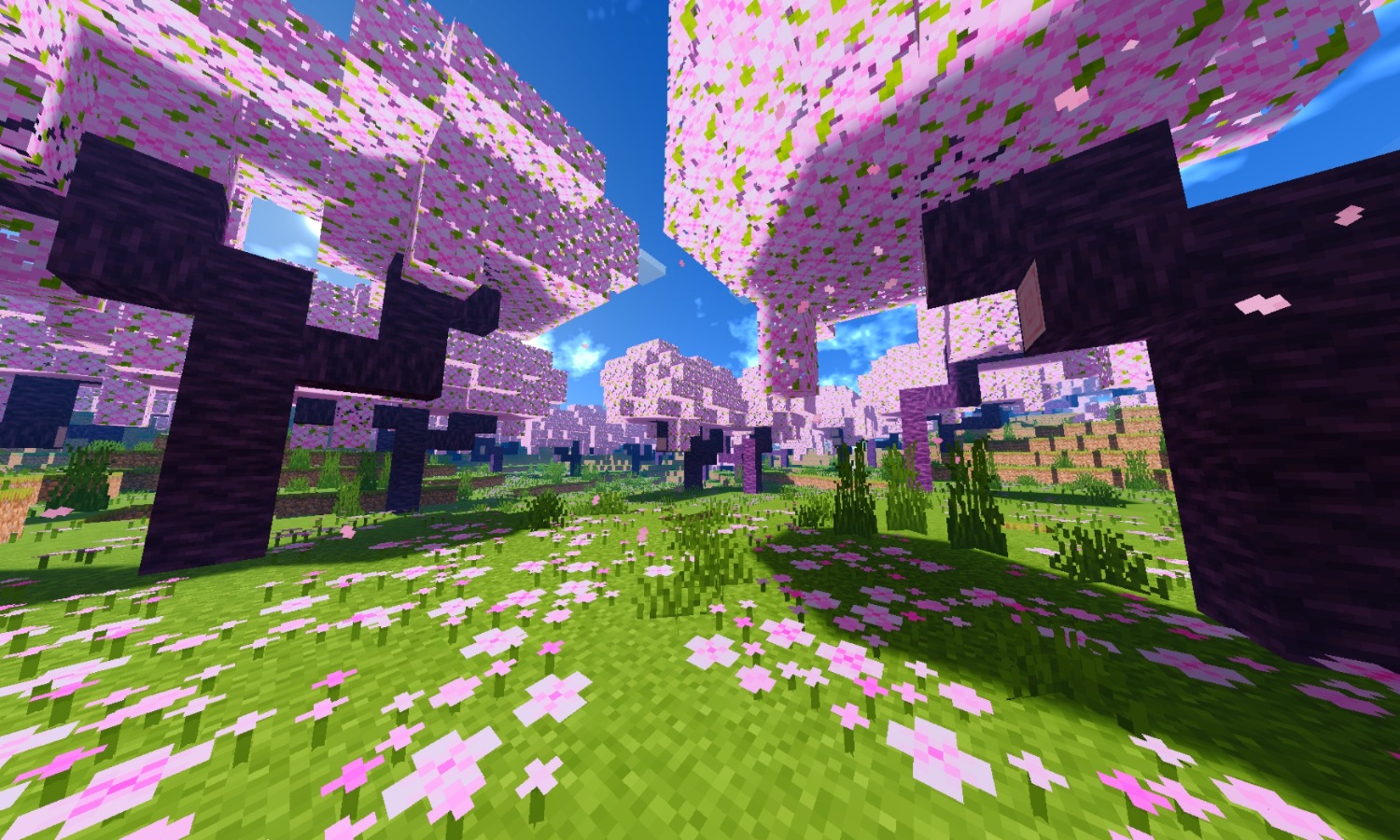 Screenshot_20250212_175143_com.mojang.minecraftpe.patxx.jpg