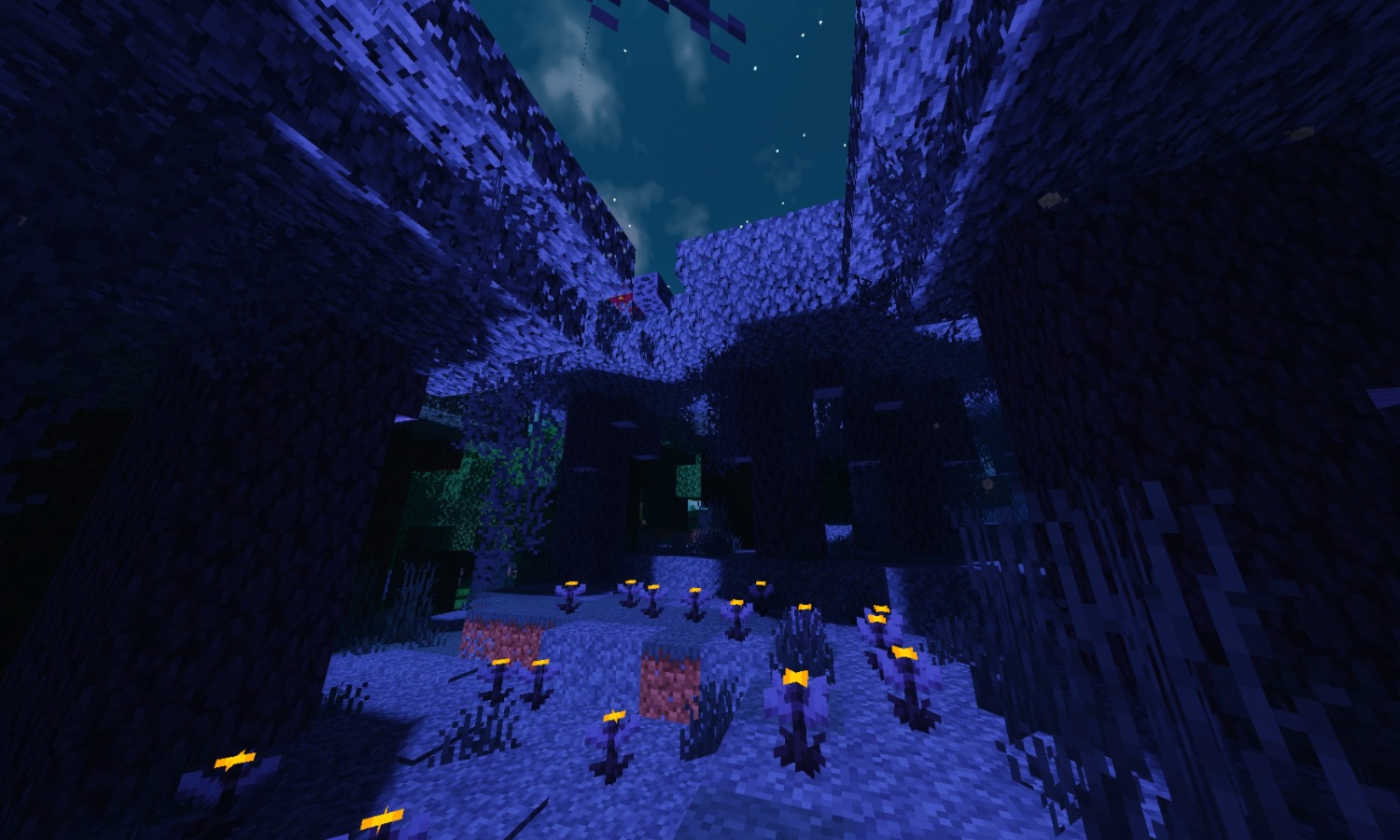 Screenshot_20250212_174940_com.mojang.minecraftpe.patxx.jpg