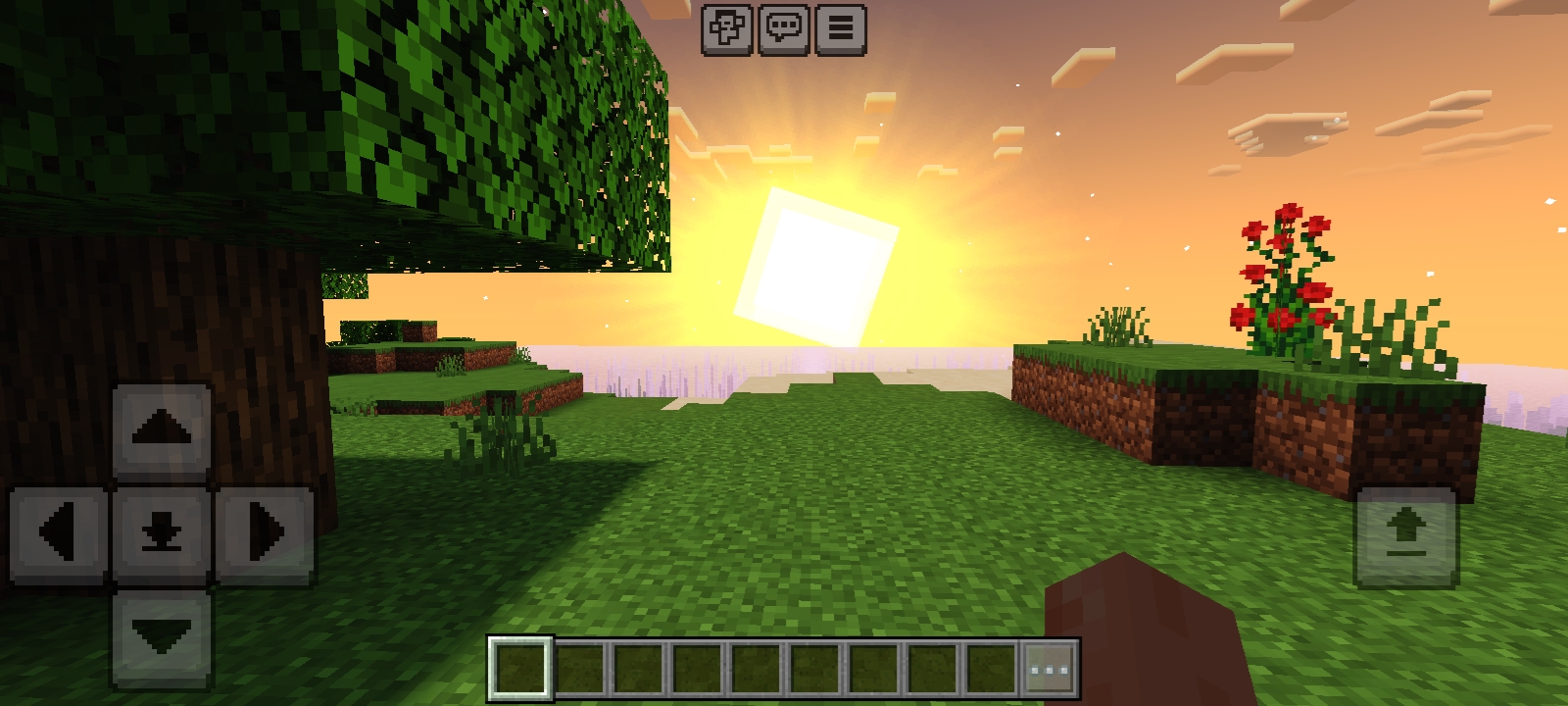 Screenshot_20250314_212833_com.mojang.minecraftaf.jpg