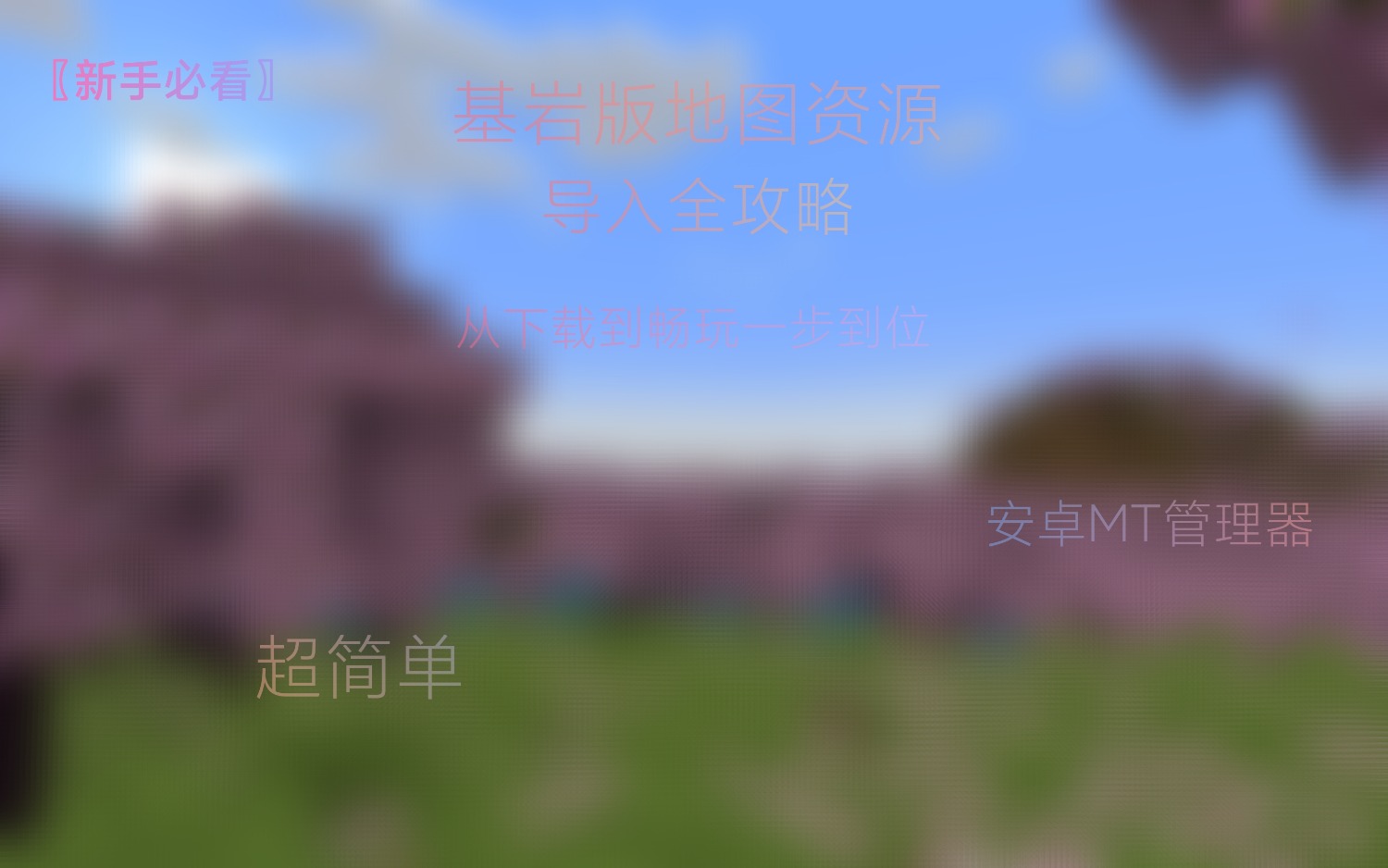 IMG_20250323_104355.jpg