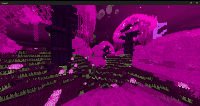 04.png