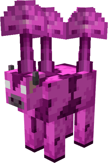28.png