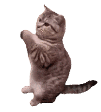 130549h9gg0dvfqtbaogbd.gif