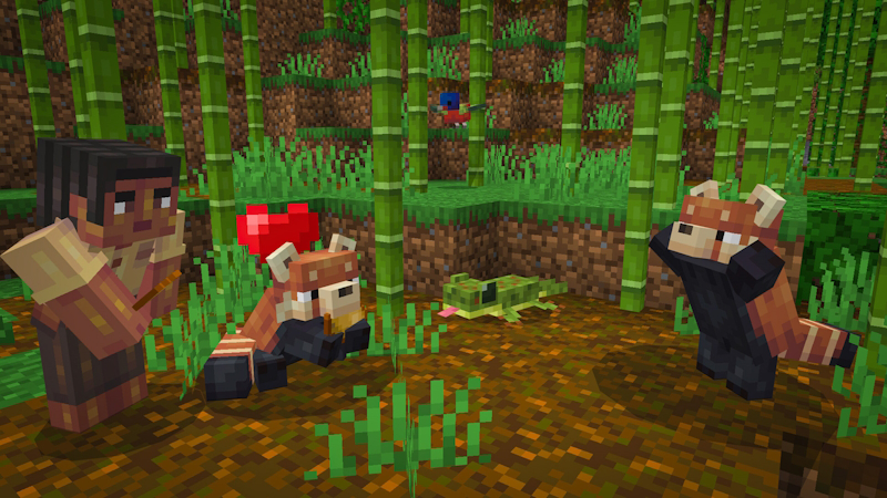 image_7.png