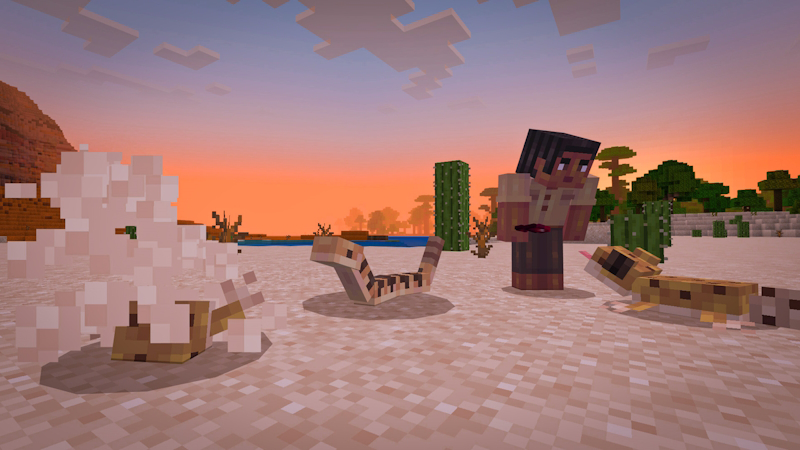 image_11.png
