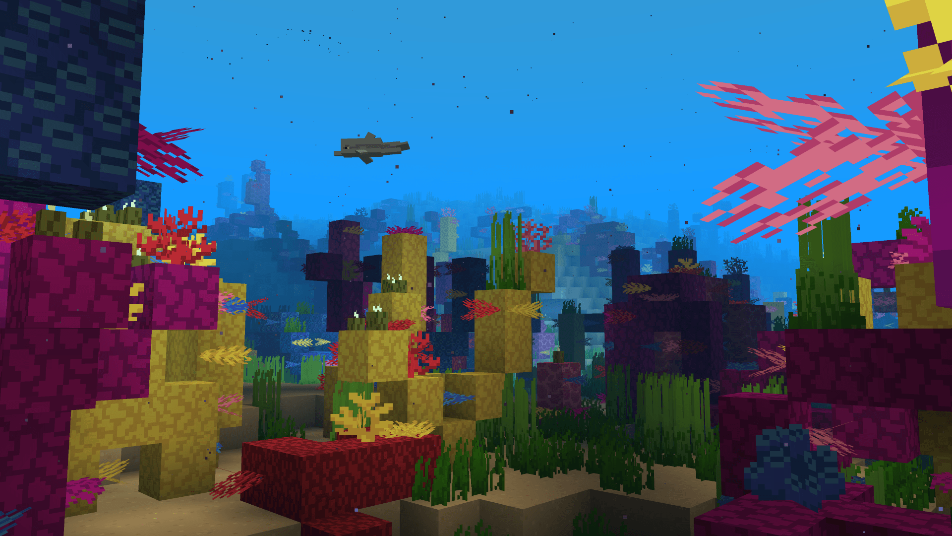 coral-png.png