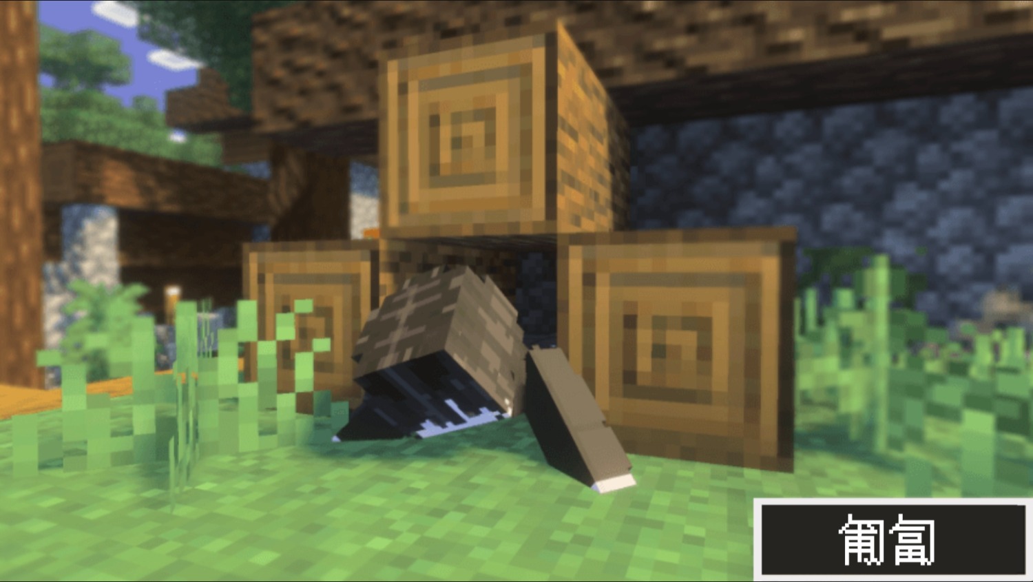 Screenshot_20260410_225735.jpg