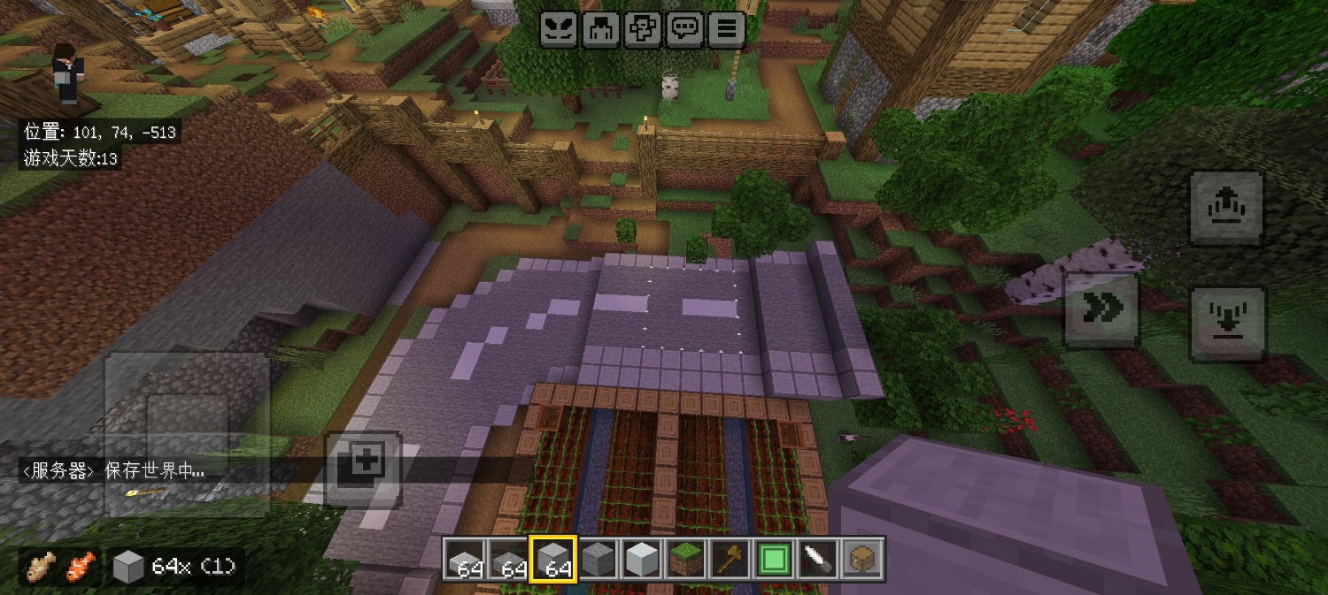 Screenshot_20260606_234805_com.mojang.minecraftpe.jpg